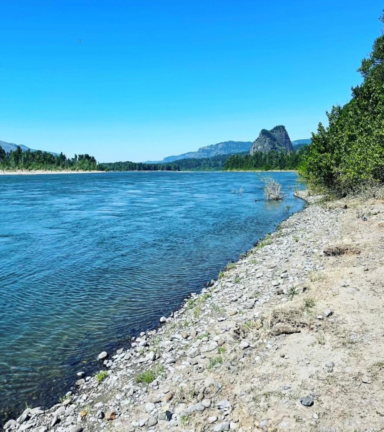 Gorgeous Gateway To The Columbia River Gorge Washougal Экстерьер фото